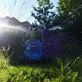 Symbolbild für Dienstleistung Pflege von Gartenanlagen und Grundstücken